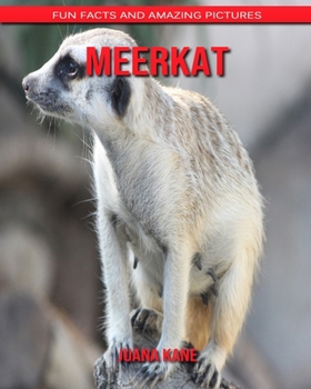Meerkat: Fun Facts and Amazing Pictures