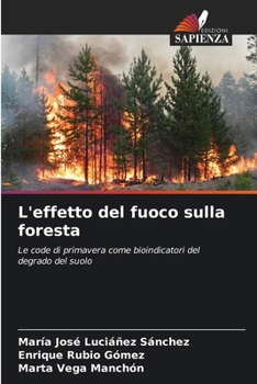 L'effetto del fuoco sulla foresta (Italian Edition)