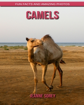 Camels: Fun Facts and Amazing Photos
