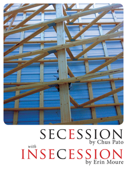 Paperback Secession/Insecession Book