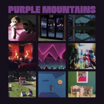 Vinyl Purple Mountains Book