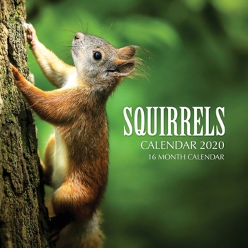 Paperback Squirrels Calendar 2020: 16 Month Calendar Book
