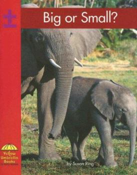 Paperback Big or Small? Book