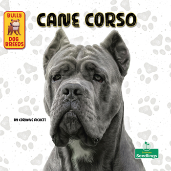 Hardcover Cane Corso Book