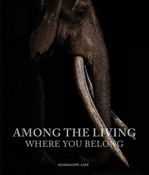 Hardcover Among the Living: Where You Belong Book