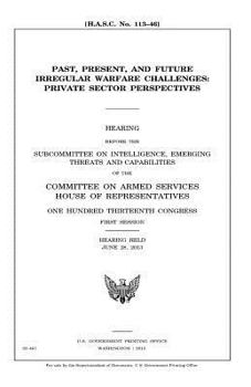 Paperback Past, present, and future irregular warfare challenges: private sector perspectives Book