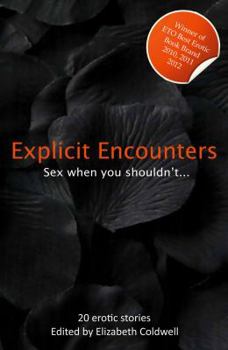 Paperback Explicit Encounters: Sex When You Shouldn't Book