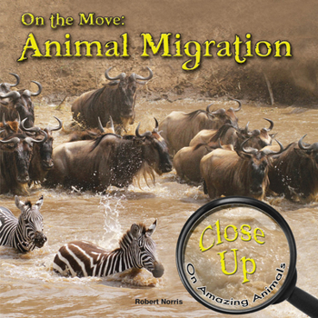 Paperback Rourke Educational Media On the Move Reader (Close-Up on Amazing Animals) Book