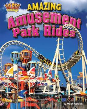 Amazing Amusement Park Rides - Book  of the So Big Compared to What?