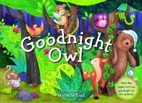 Good Night Owl. Illustrated by Michelle Todd