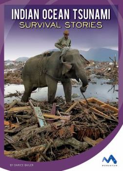 Library Binding Indian Ocean Tsunami Survival Stories Book