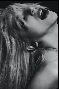 Paperback Life of a Porn Star Book