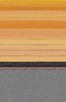 Paperback COCK TALES Memoirs of a Dickhead Book