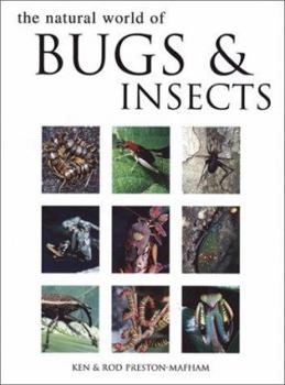 Hardcover The Natural World of Bugs & Insects Book