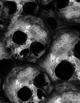 Paperback Giant-Sized Notebook: Giant-Sized Notebook/Journal with 500 Lined & Numbered Pages: Skulls Design Composition Notebook (8.5 X 11/250 Sheets) Book