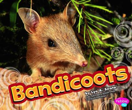 Bandicoots - Book  of the Australian Animals