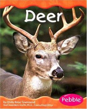 Hardcover Deer Book