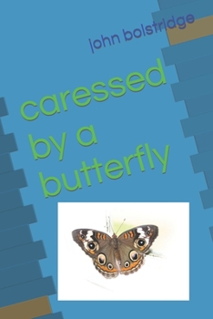 Paperback caressed by a butterfly Book