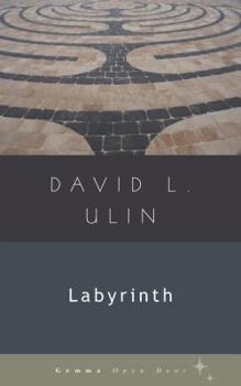 Paperback Labyrinth Book