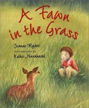 Hardcover Fawn in the Grass Book