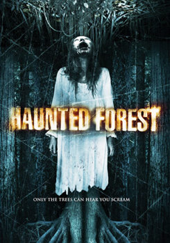 DVD Haunted Forest Book