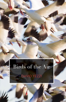 Paperback Birds of the Air Book