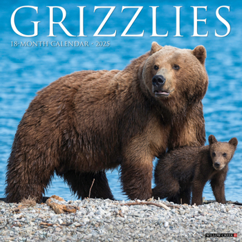 Calendar Grizzlies 2025 12 X 12 Wall Calendar Book