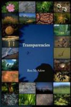 Paperback Transparencies Pb Book