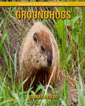 Groundhogs: Amazing Pictures and Facts