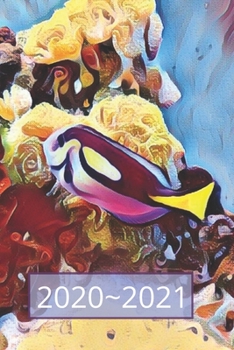 Blue & Yellow Tropical Parrot Fish Lover Dated Weekly  2 year Calendar Planner: Cute Small Pocket/Purse Size To-Do Lists,Tasks, Notes, Appointments ... - Dec 2021, 25 months Weekly Planner Book)