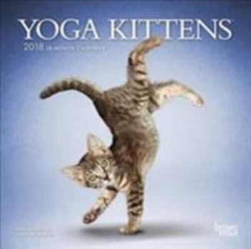 Calendar Yoga Kittens 2018 7 x 7 Inch Monthly Mini Wall Calendar, Animals Humor Kitten Book