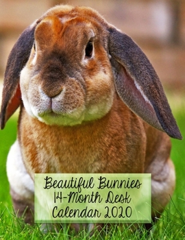 Beautiful Bunnies 14-Month Desk Calendar 2020: A Beautiful Rabbit for Each Month in Glorious Color!