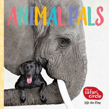 Board book The Safari Circle: Animal Pals: Lift the Flap Book