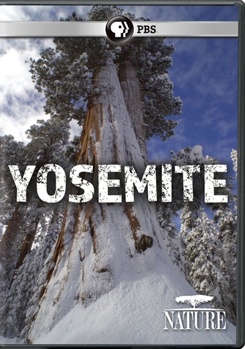 Nature: Yosemite