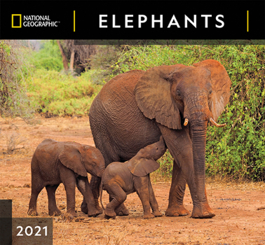 National Geographic Elephants 2021 Wall Calendar