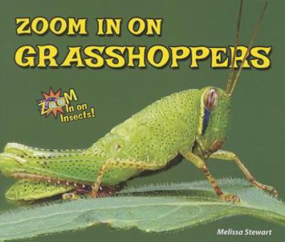 Paperback Zoom in on Grasshoppers Book