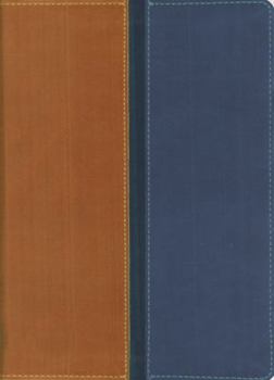 Imitation Leather Message Parallel Bible-PR-MS/Ni-Personal Size Book