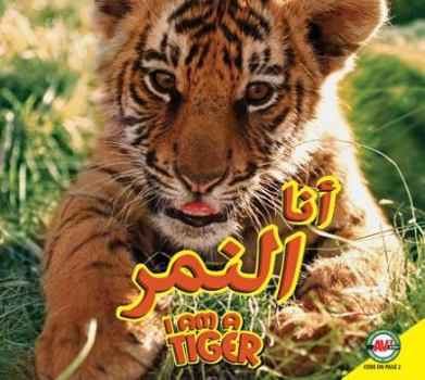 Hardcover Tiger: Arabic-English Bilingual Edition Book