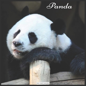 Panda 2021 Wall Calendar: Official Panda 2021 Wall Calendar18 months