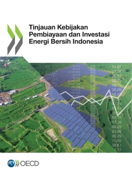 Paperback Tinjauan Kebijakan Pembiayaan Dan Investasi Energi Bersih Indonesia [Indonesian] Book