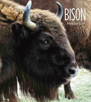Paperback Living Wild: Bison Book