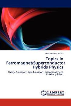 Paperback Topics in Ferromagnet/Superconductor Hybrids Physics Book