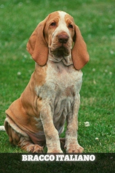 Paperback Bracco Italiano: Complete breed guide Book