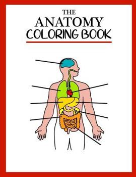 The Anatomy Coloring Book: Basic coloring book, For Adults and Children
