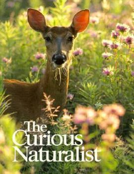Hardcover The Curious Naturalist Book