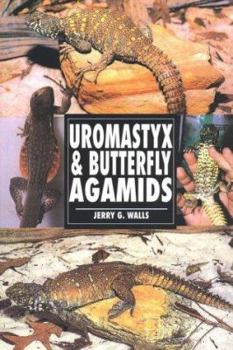 Paperback Uromastyx & Butterfly Agamids Book