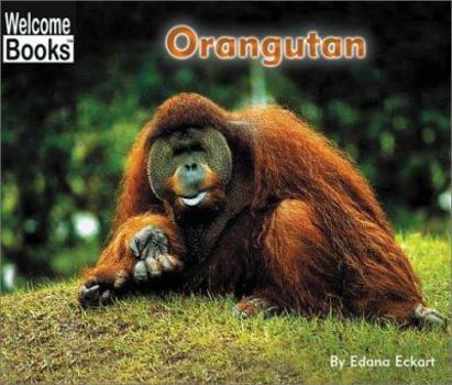 Paperback Orangutan Book
