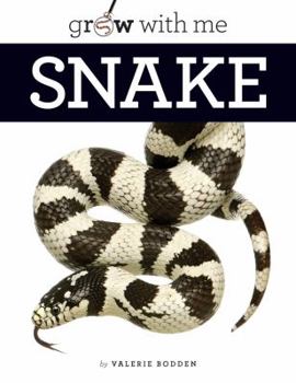 Snake - Book  of the Grow With Me