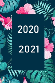 2020 / 2021: Terminplaner für das Jahr 2020 und 2021 (German Edition)