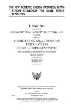 The New Domestic Energy Paradigm: Downstream Challenges for Small Energy Businesses